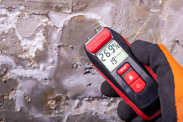 Office Mold Removal Services in Capitan, NM
