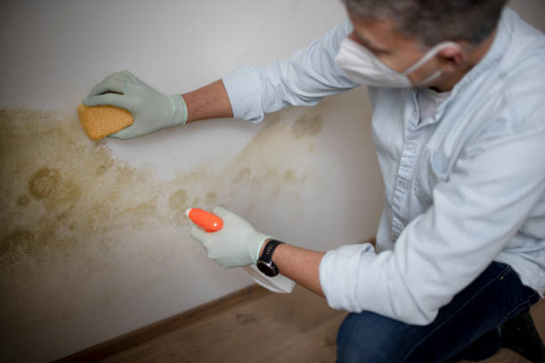 Best Water Damage Restoration  in Capitan, NM