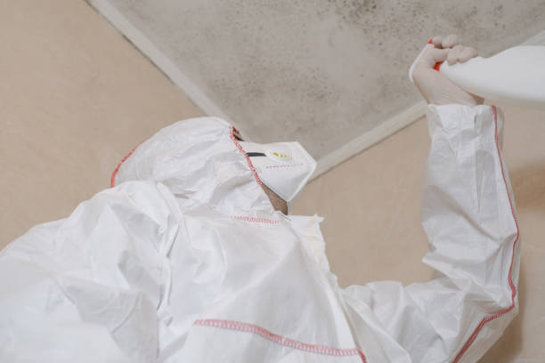 Best Best Mold Removal Companies  in Capitan, NM