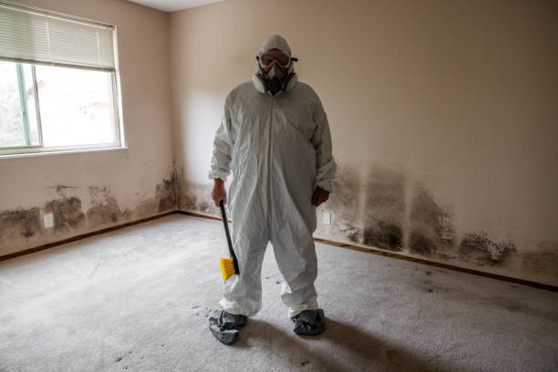 Best Home Mold Removal  in Capitan, NM